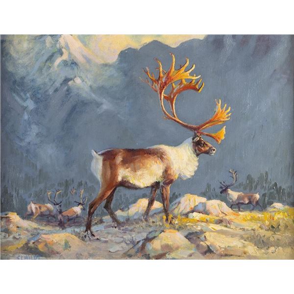 Gary Schildt, oil on canvasboard