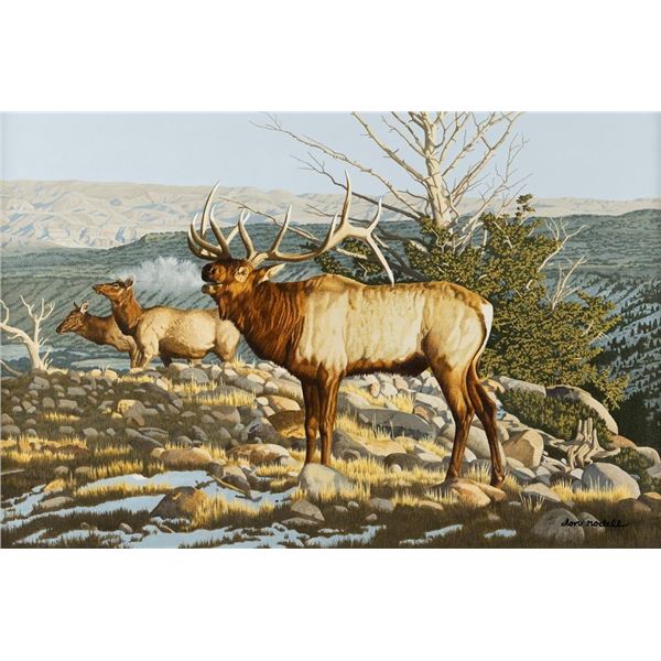 Don Rodell, oil on canvas