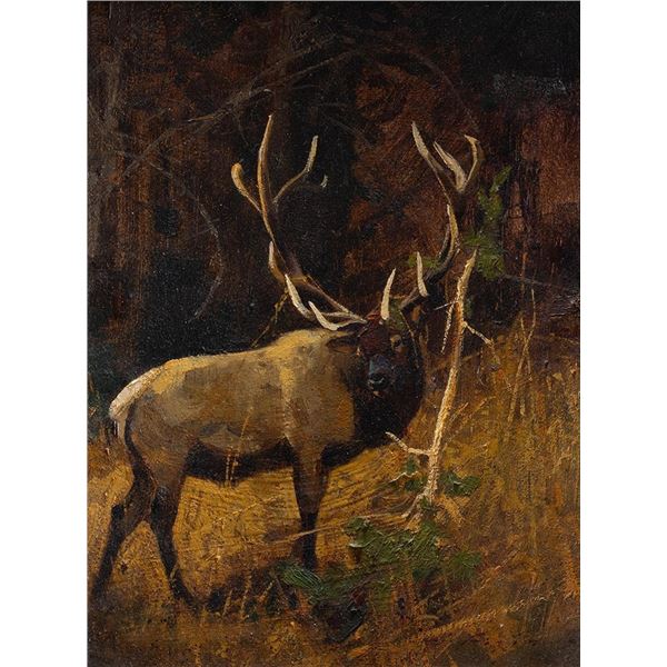 Luke Frazier, oil on board