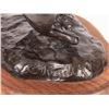 Image 7 : Charles M. Russell, bronze