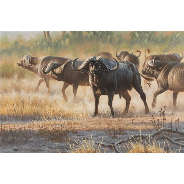 Cynthie Fisher, oil on board