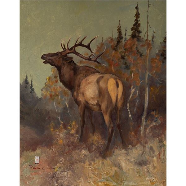 Ace Powell, oil on canvasboard