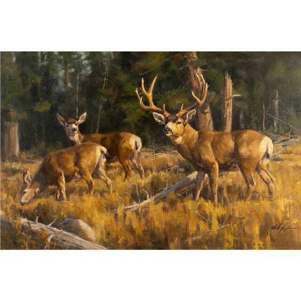 Chad Poppleton, oil on canvas