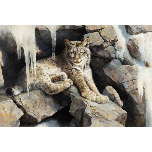 Bonnie Marris, oil on canvas