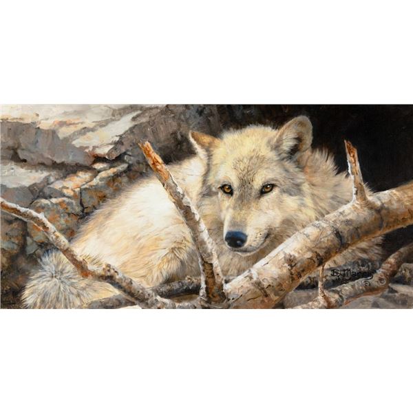 Bonnie Marris, oil on canvas