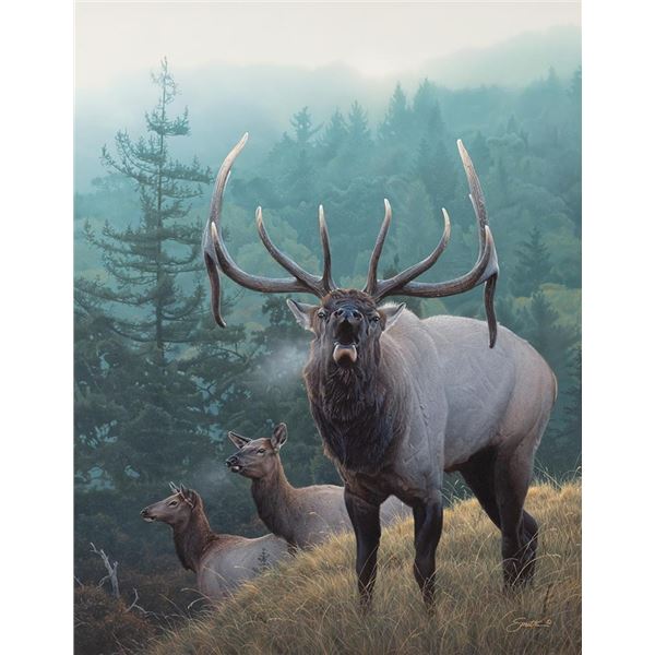 Daniel Smith, acrylic on board