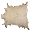 Image 10 : Eastern Shoshone Painted Elk Hide by Cadzi Cody