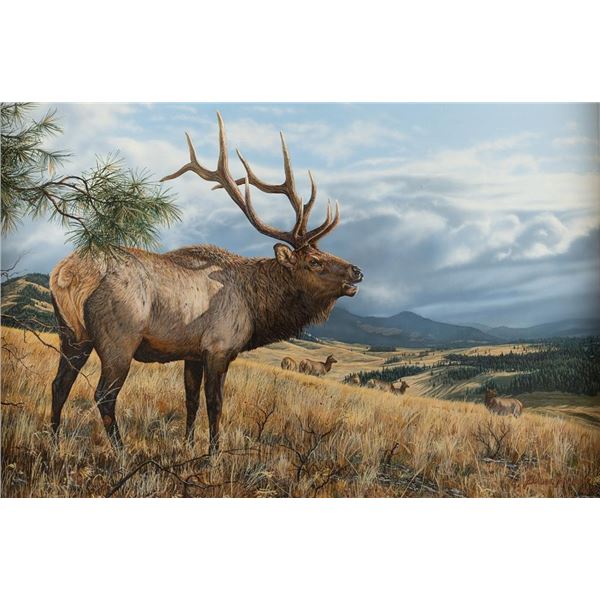 Bruce Miller, oil on canvas