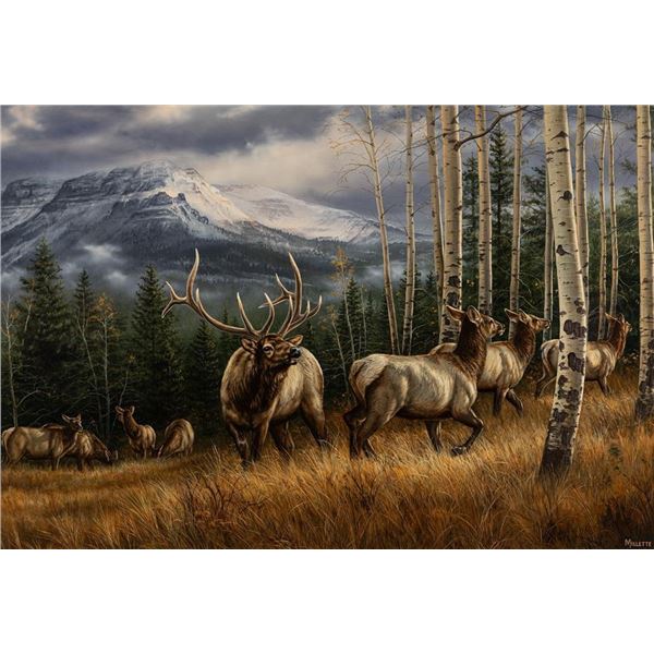 Rosemary Millette, acrylic on board