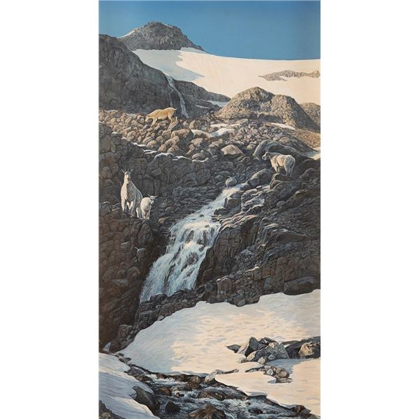 Terry Isaac, oil on board