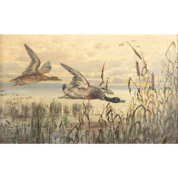 John Fery, oil on canvas