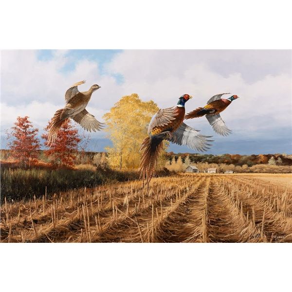 David Maass, oil on board