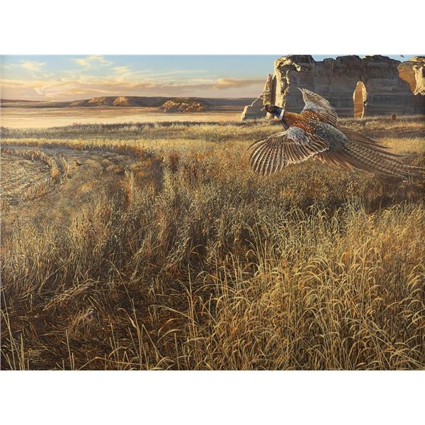 Scott Storm, oil on board