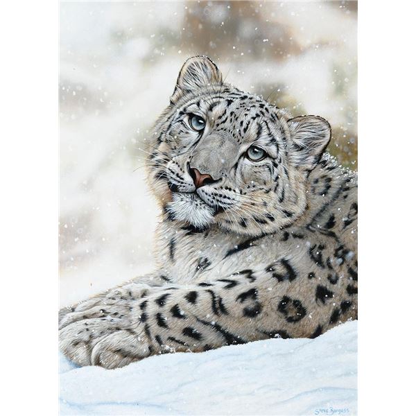 Steve Burgess, oil on board