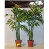 Image 1 : PAIR OF ARTIFICIAL PLANTS