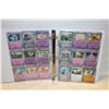 Image 1 : BINDER WITH 100 POKEMON CARDS