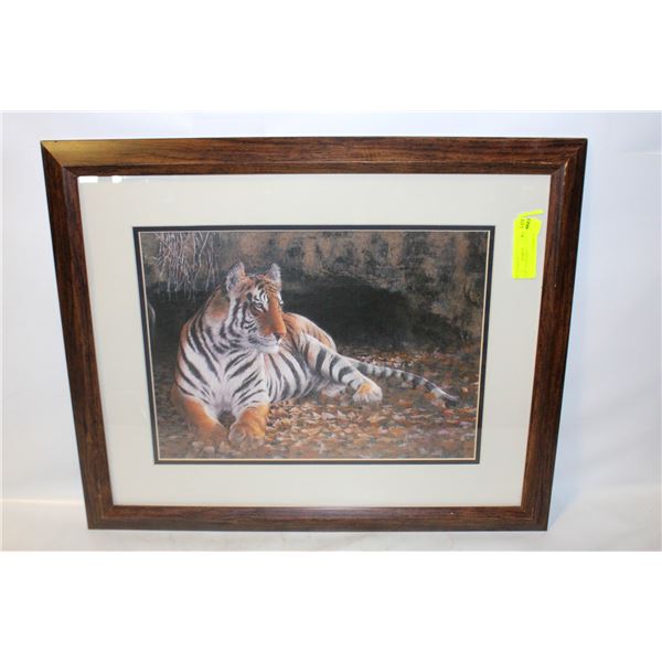 23 X 19” TIGER PRINT