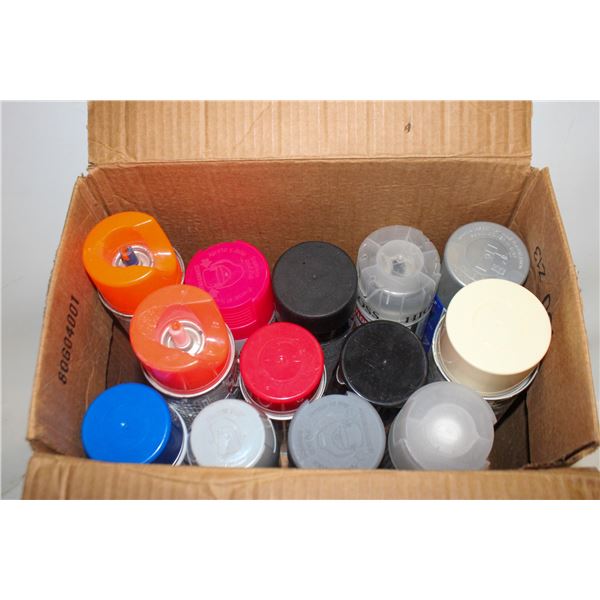 13PK -SPRAY PAINT