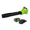 Image 1 : NEW GREENWORKS 40V CORDLESS LEAF BLOWER
