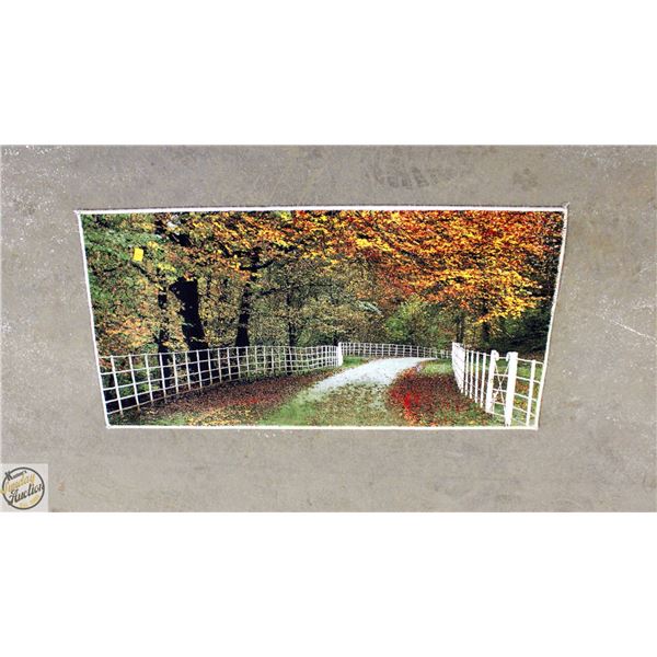 NEW ENTRANCE RUG 19.5" X 40"