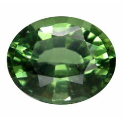 1.40ct Wonderful Oval Natural Green Apatite (GEM-14234)