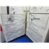 Image 3 : 2 Steve Youngs 2006 Quick Automotive Entry Books - 1 is Domestic