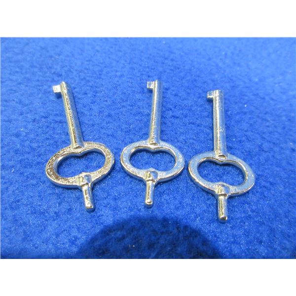 3 Handcuff Keys