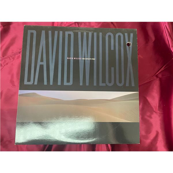 David Wilcox The Natural Edge album