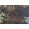Image 8 : Very Large Artwork, Landscape Scene, Wood Framed 56" x 39"