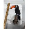 Image 1 : Parrot
