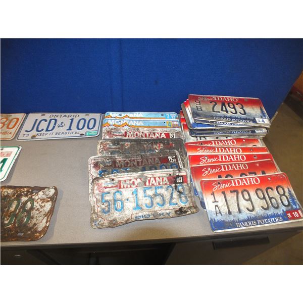 23 License Plates