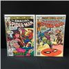 Image 1 : LOT OF 2 THE AMAZING SPIDERMAN COMICS #177-178 - MARVEL COMICS