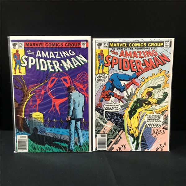LOT OF 2 THE AMAZING SPIDERMAN  COMICS #193 & #196 - MARVEL COMICS