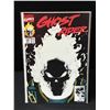 Image 1 : MARVEL COMICS GHOST RIDER NO.15