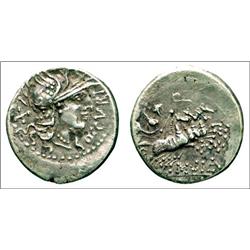 Curtia. Quintus Curtius.