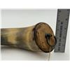 Image 3 : Antique Powder Horn