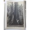Image 6 : Assorted Vintage Postcards