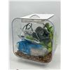 Image 2 : Fish Tank & Rubber Lobster
