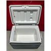 Image 3 : Coleman Xtreme Cooler