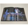 Image 4 : 1999 Roy Stuart Volume II Adult Coffee Table Book