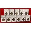 Image 1 : BRITISH INDIA: LOT of 11 slabs