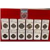 Image 1 : WORLDWIDE: LOT of 13 slabs
