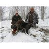 Image 11 : CROATIA BIG GAME HUNT 2 HUNTERS OR 1 HUNTER / 1 NON-HUNTER