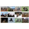 Image 14 : CROATIA BIG GAME HUNT 2 HUNTERS OR 1 HUNTER / 1 NON-HUNTER