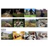 Image 17 : CROATIA BIG GAME HUNT 2 HUNTERS OR 1 HUNTER / 1 NON-HUNTER
