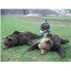 Image 19 : CROATIA BIG GAME HUNT 2 HUNTERS OR 1 HUNTER / 1 NON-HUNTER