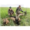Image 6 : CROATIA BIG GAME HUNT 2 HUNTERS OR 1 HUNTER / 1 NON-HUNTER