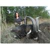 Image 7 : CROATIA BIG GAME HUNT 2 HUNTERS OR 1 HUNTER / 1 NON-HUNTER