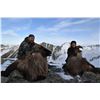 Image 1 : NEW ZEALAND FIVE DAYS FOR 1 HUNTER TAHR OR CHAMOIS