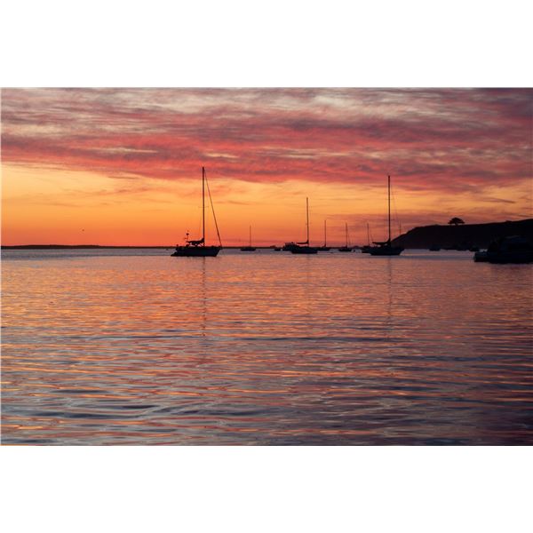 HALF MOON BAY DEEP SEA FISHING FULL BOAT UP TO 6 FISHERS